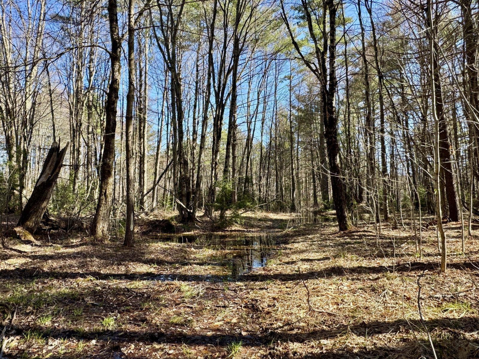 Photo 27 of 2659 NH-16