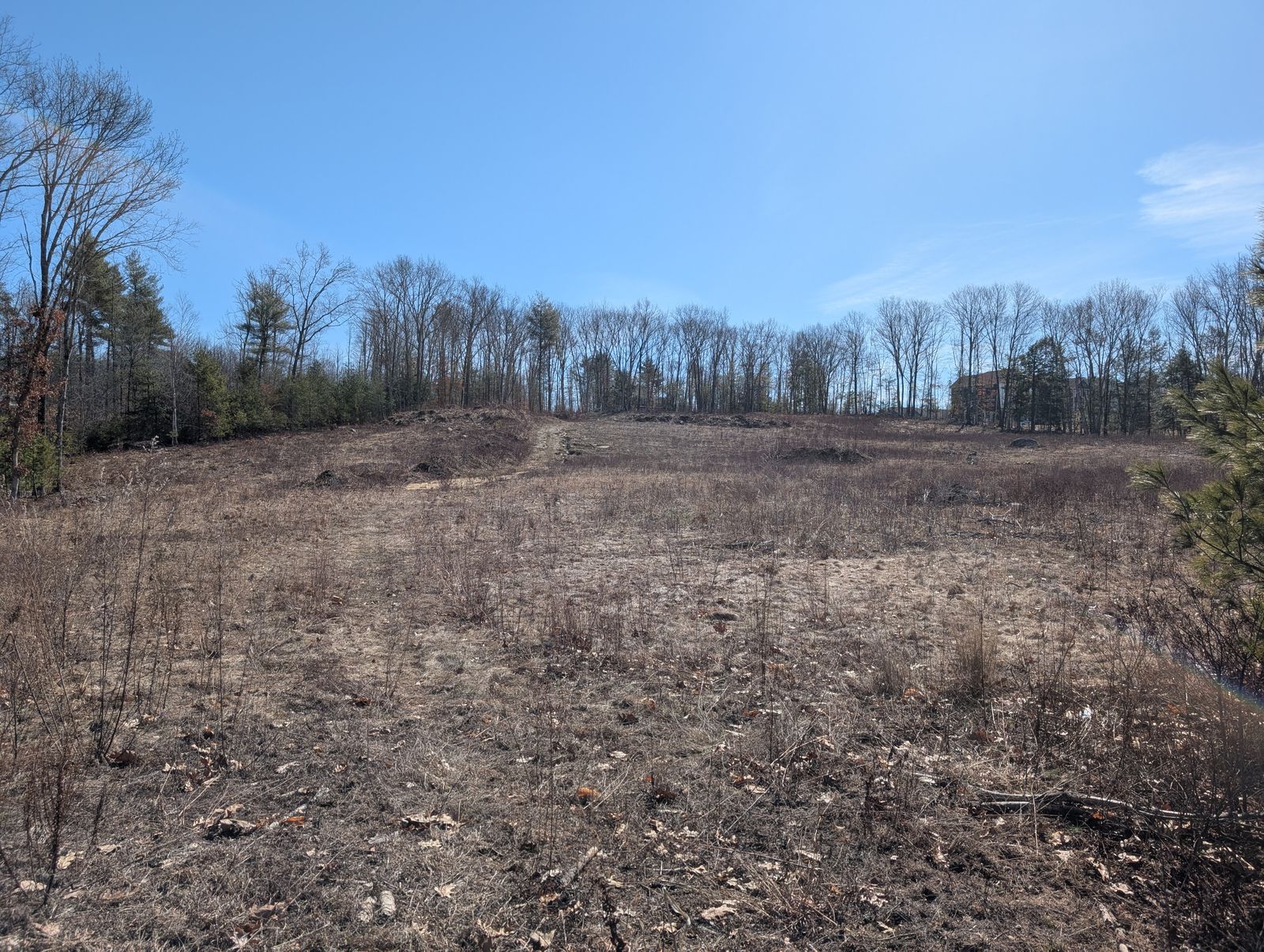 Photo 31 of Lot 233/26/58 and 59