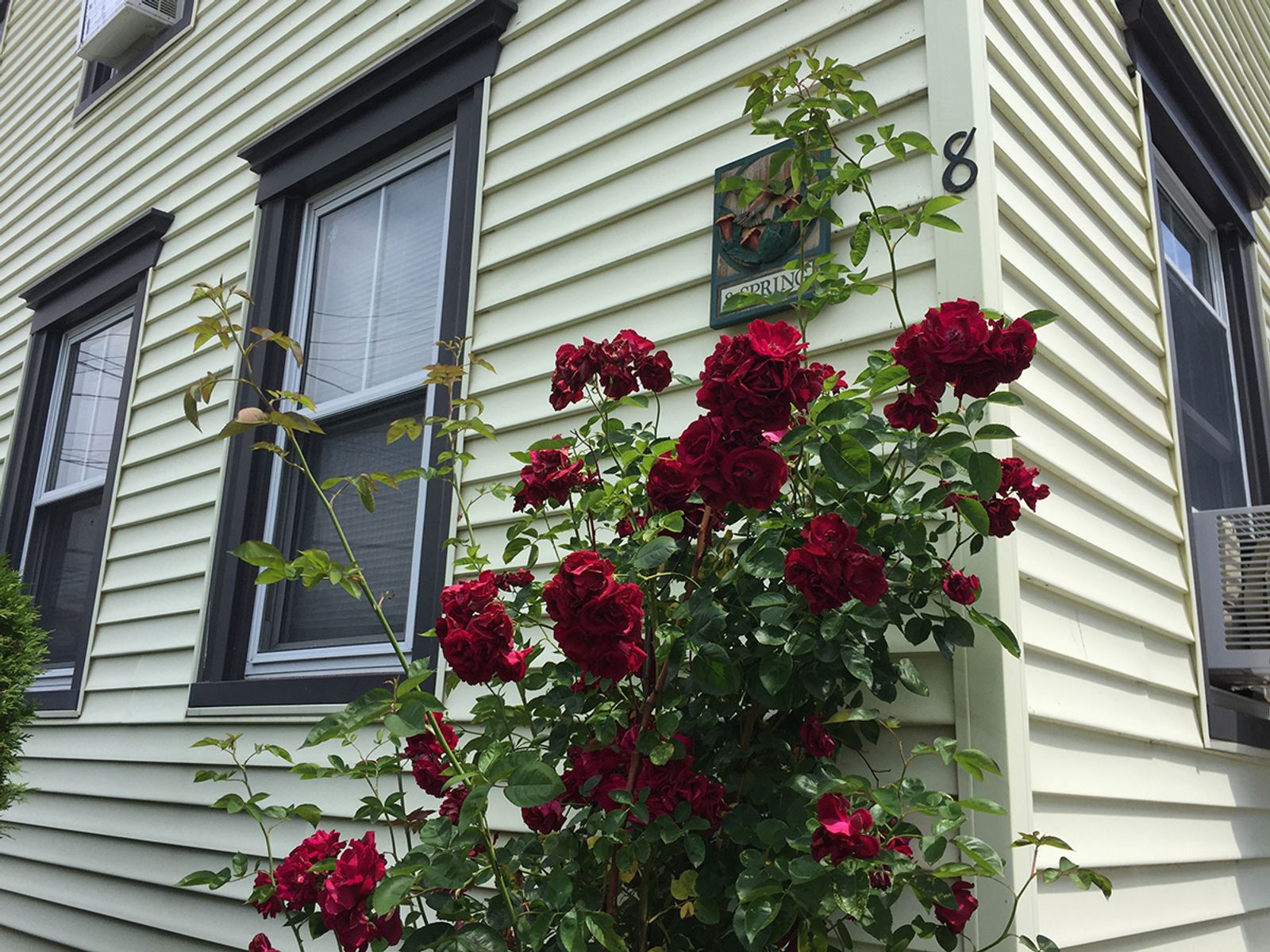 Photo 3 of 6-Unit Multifamily - 8 Spring Street