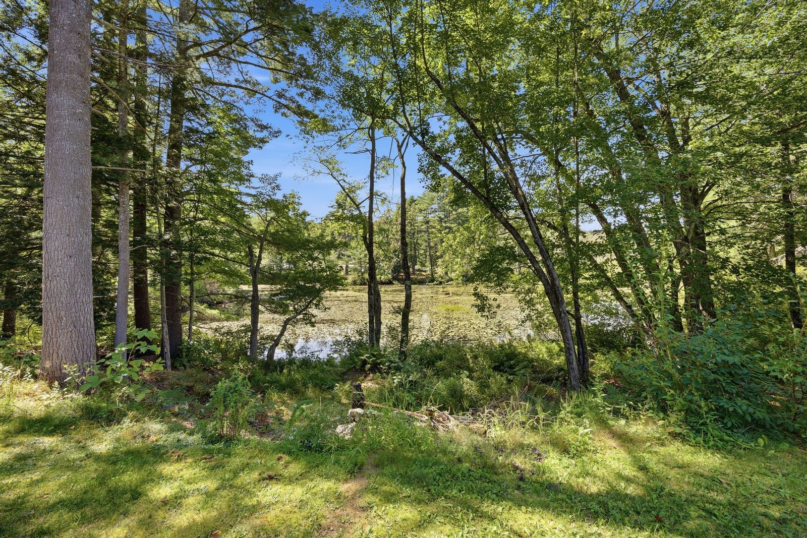 Photo 18 of Versatile Commercial / Investment Opportunity on 3.2± Acres Along Chocorua Mountain Highway
