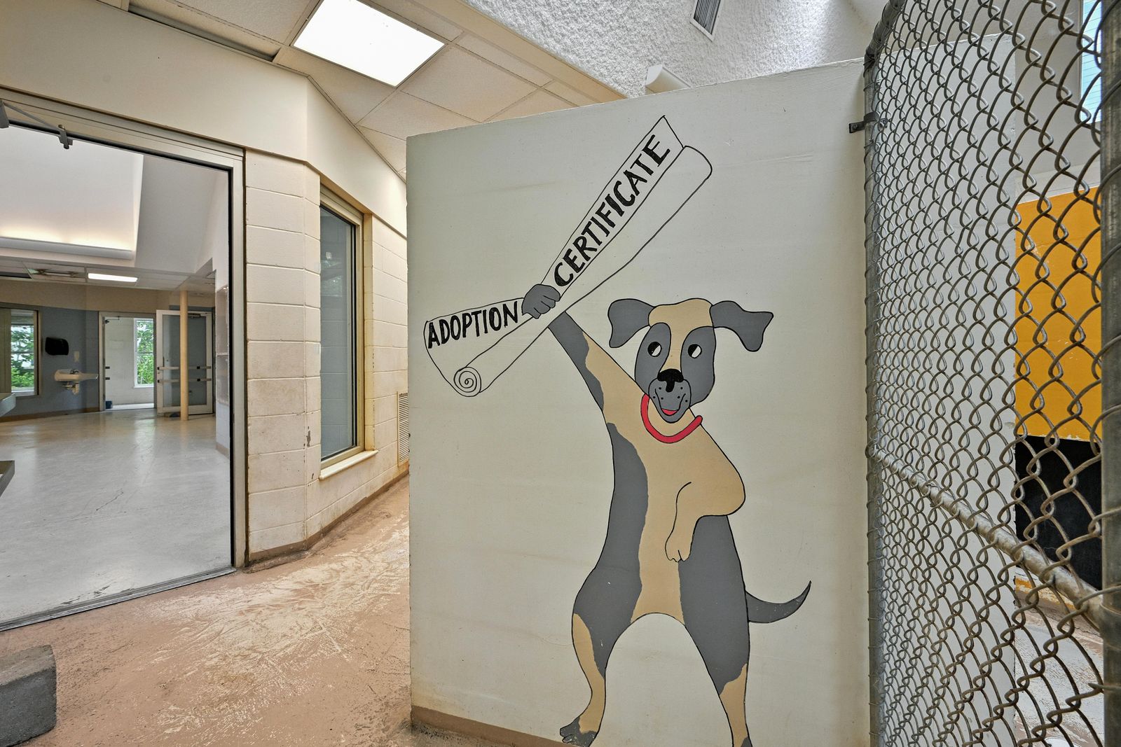 Photo 61 of 10 Pet Haven Ln