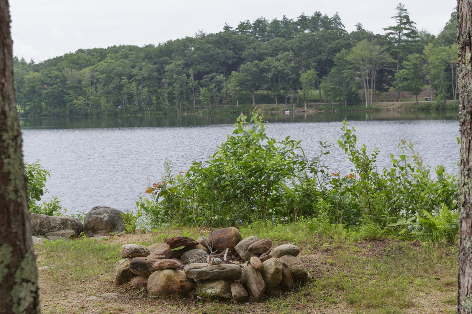 Photo 14 of 275 Jenness Pond Rd