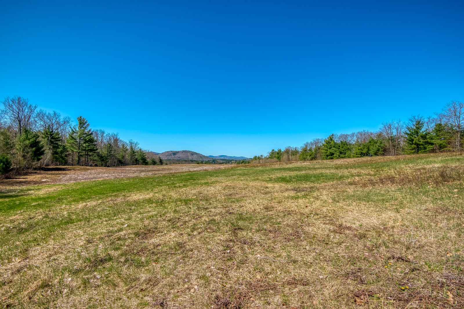 Photo 6 of 00 West View Drive