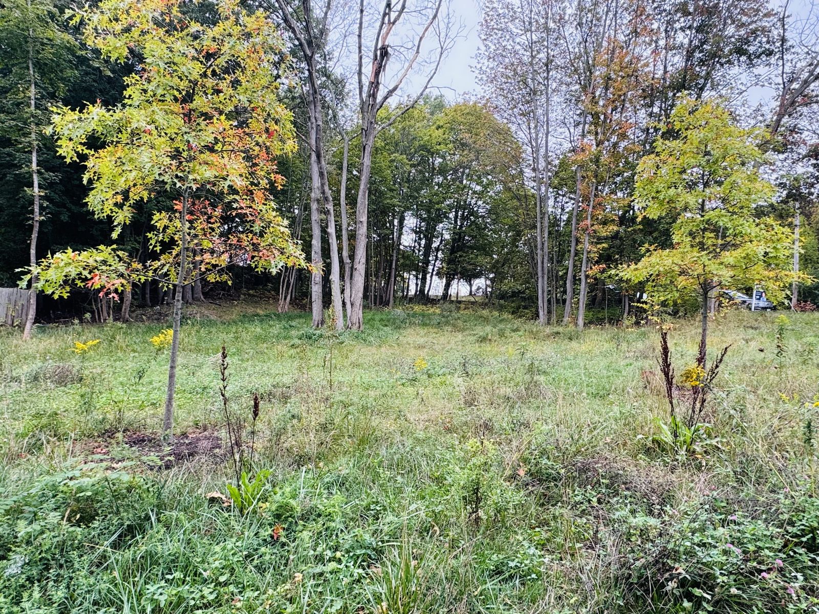 Photo 7 of Small residential development opportunity