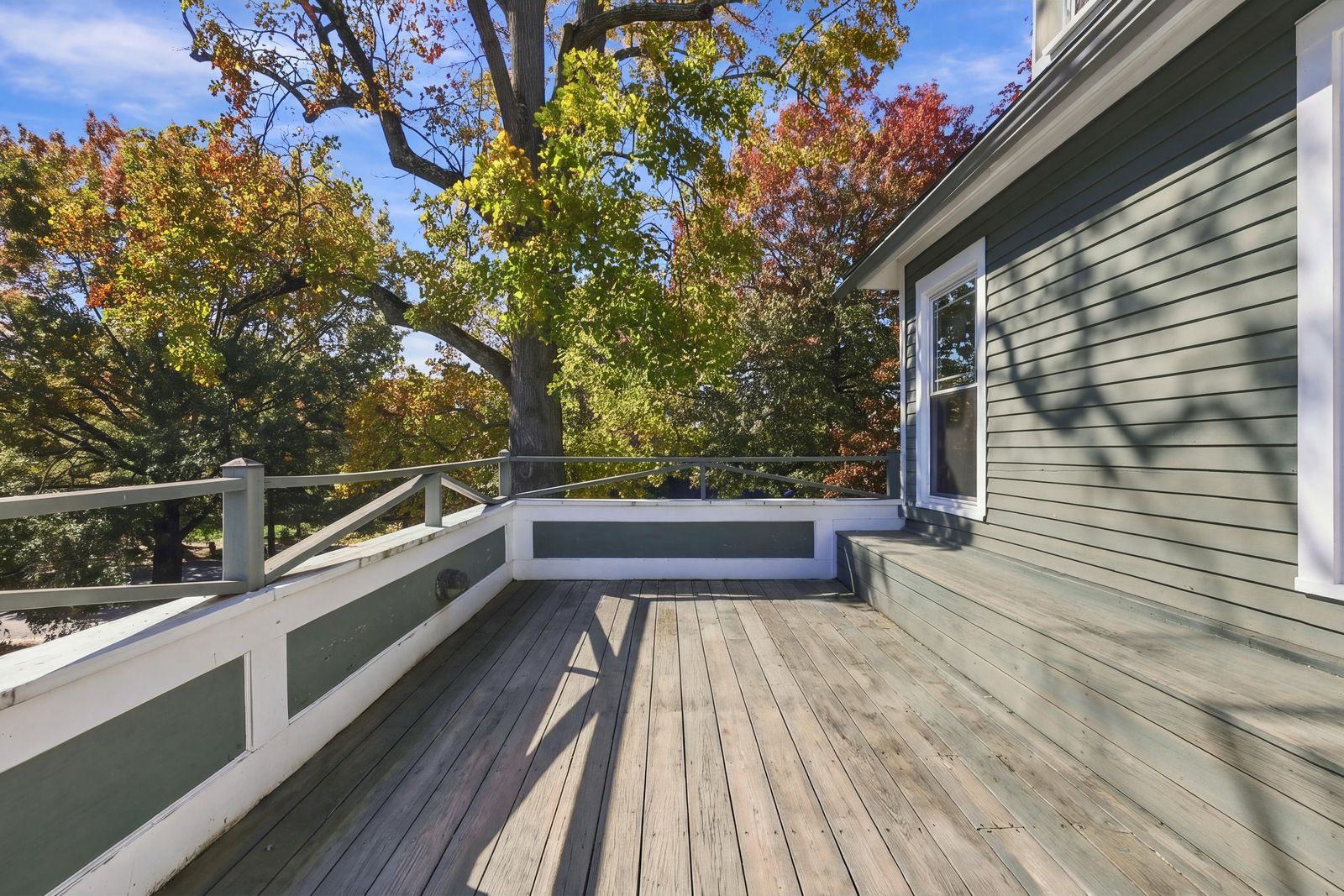 Photo 16 of 1855 Elm Street