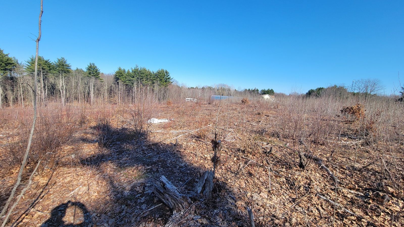 Photo 4 of 6 Indian River Rd
