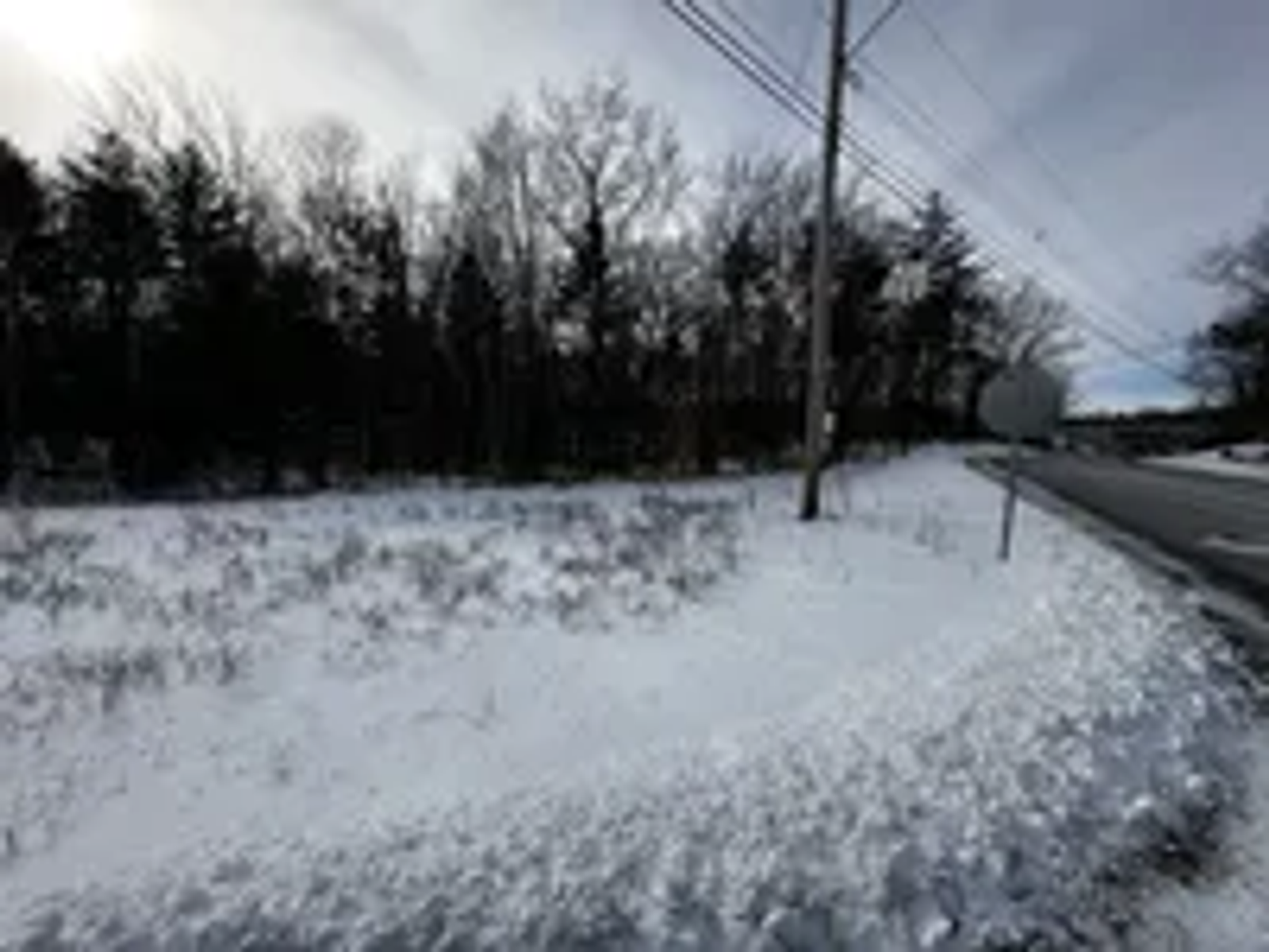 Photo 4 of 75 Rockingham Road