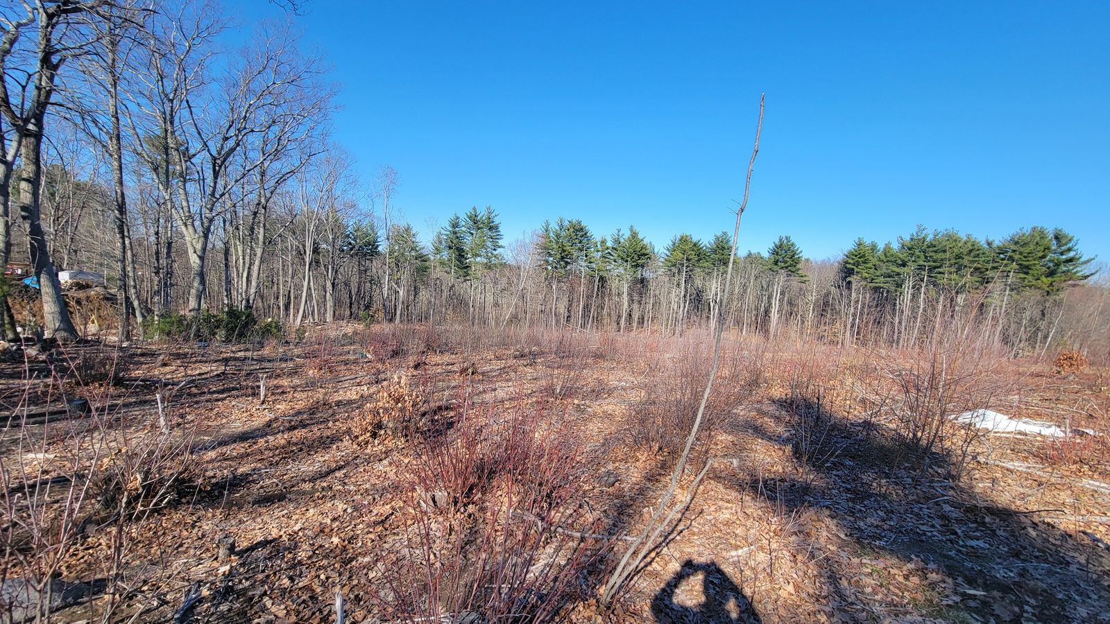 Photo 5 of 6 Indian River Rd