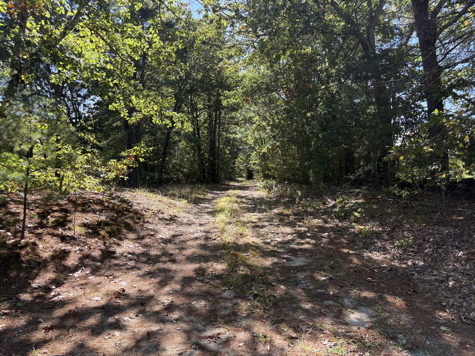 Photo 16 of Rear Wadleigh Falls Road