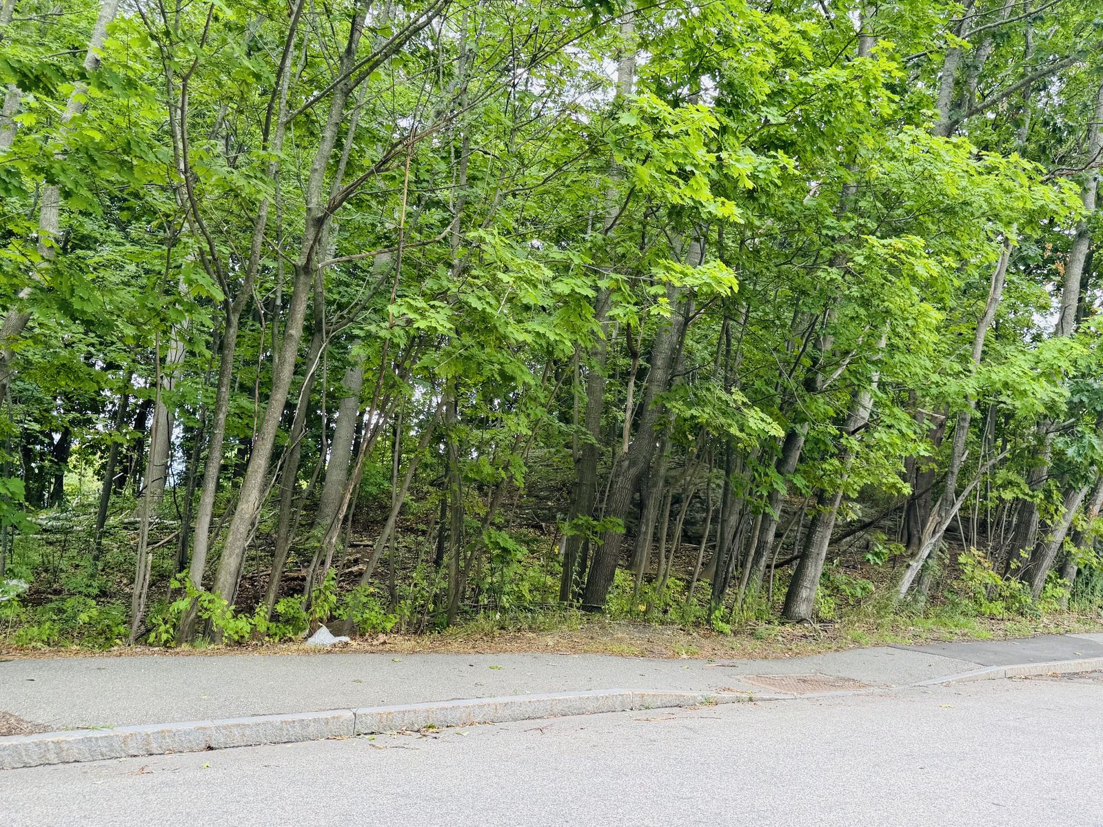 Photo 15 of Small residential development opportunity