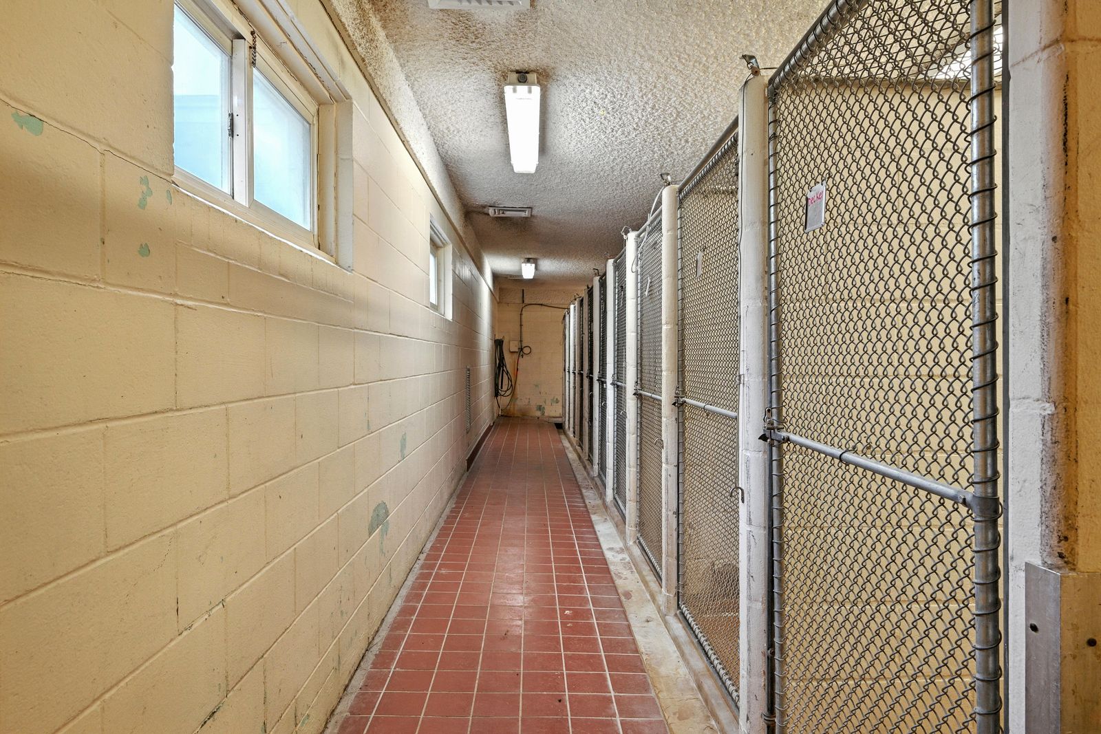 Photo 81 of 10 Pet Haven Ln