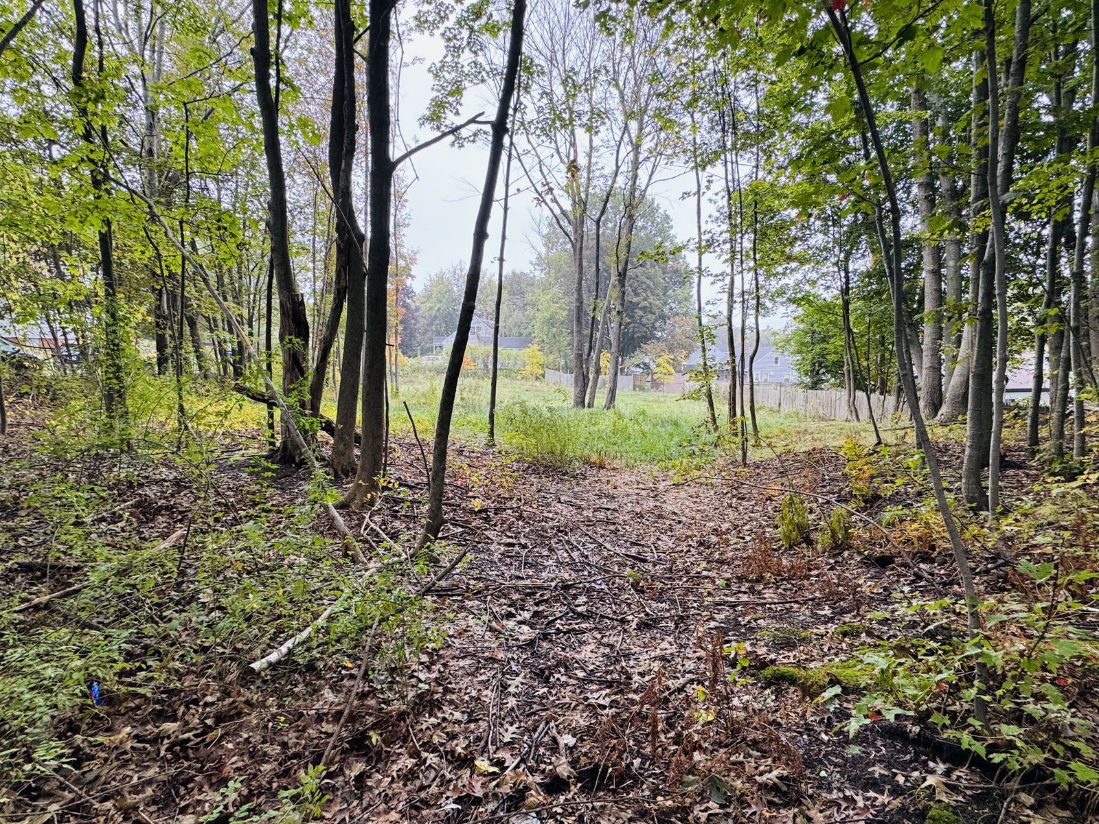 Photo 8 of Small residential development opportunity