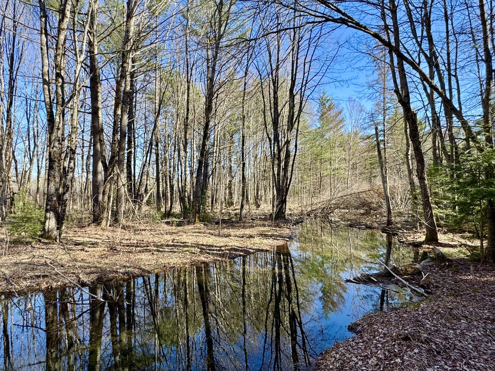 Photo 29 of 2659 NH-16