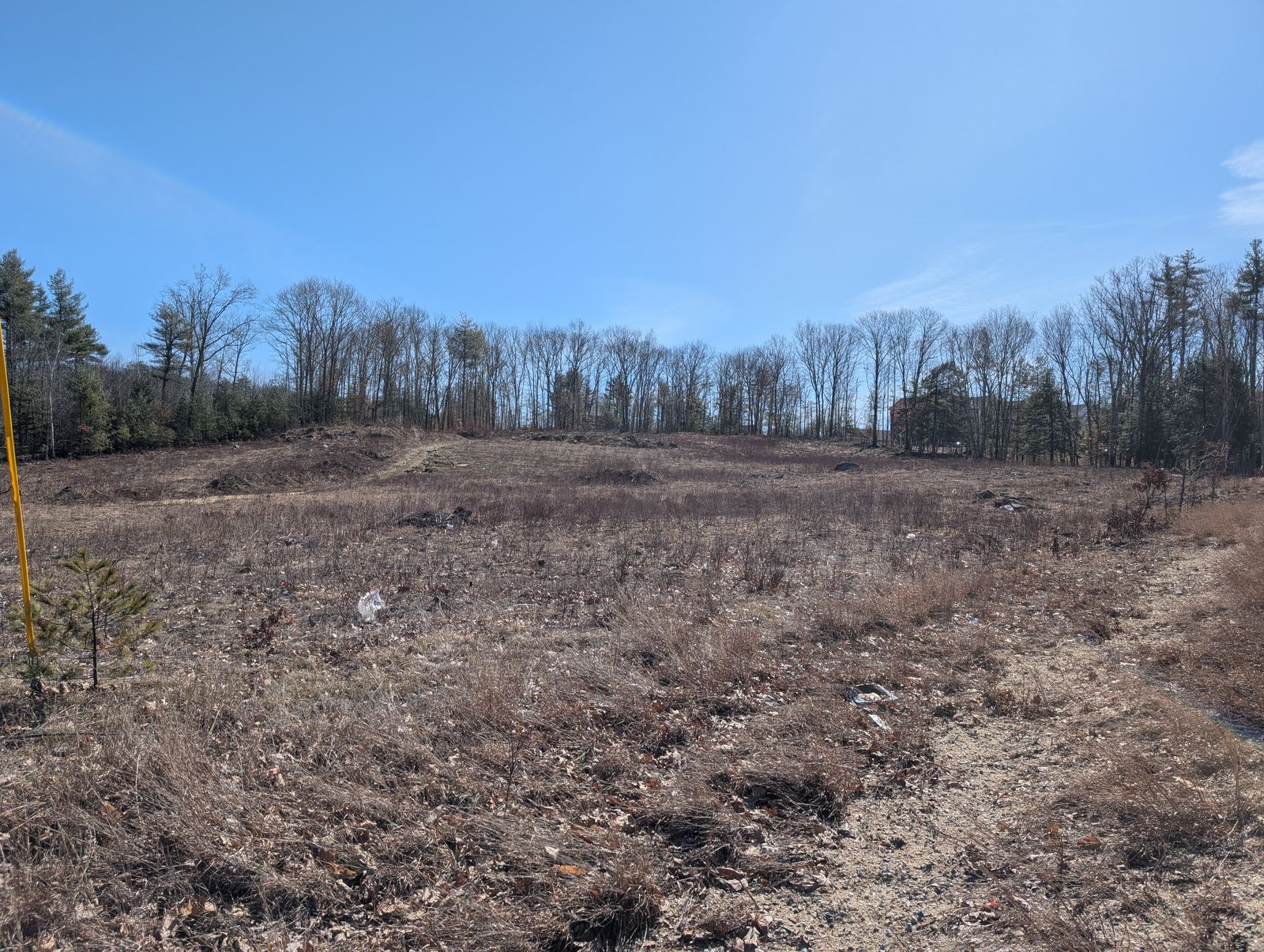 Photo 29 of Lot 233/26/58 and 59