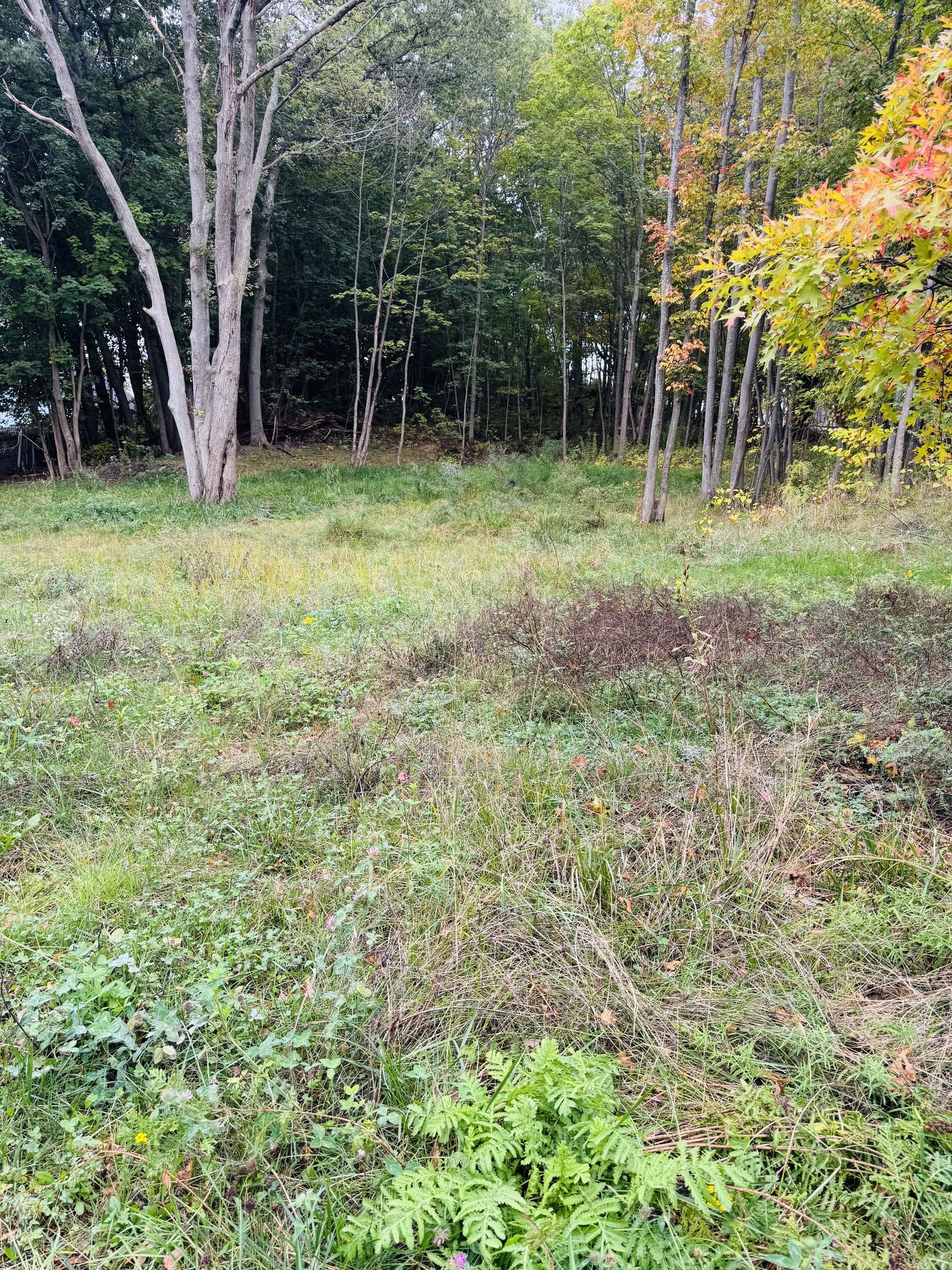 Photo 6 of Small residential development opportunity