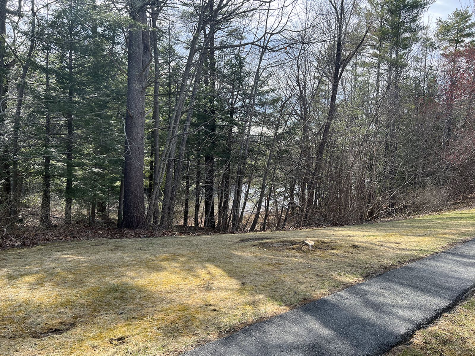 Photo 23 of 10 Forest Falls Dr