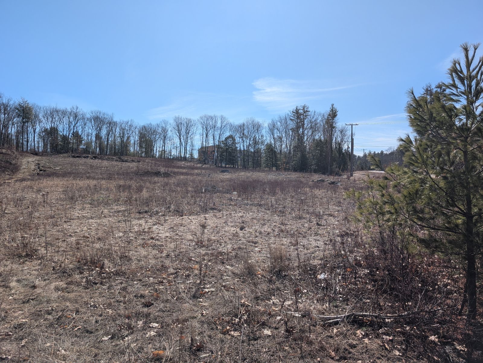 Photo 30 of Lot 233/26/58 and 59