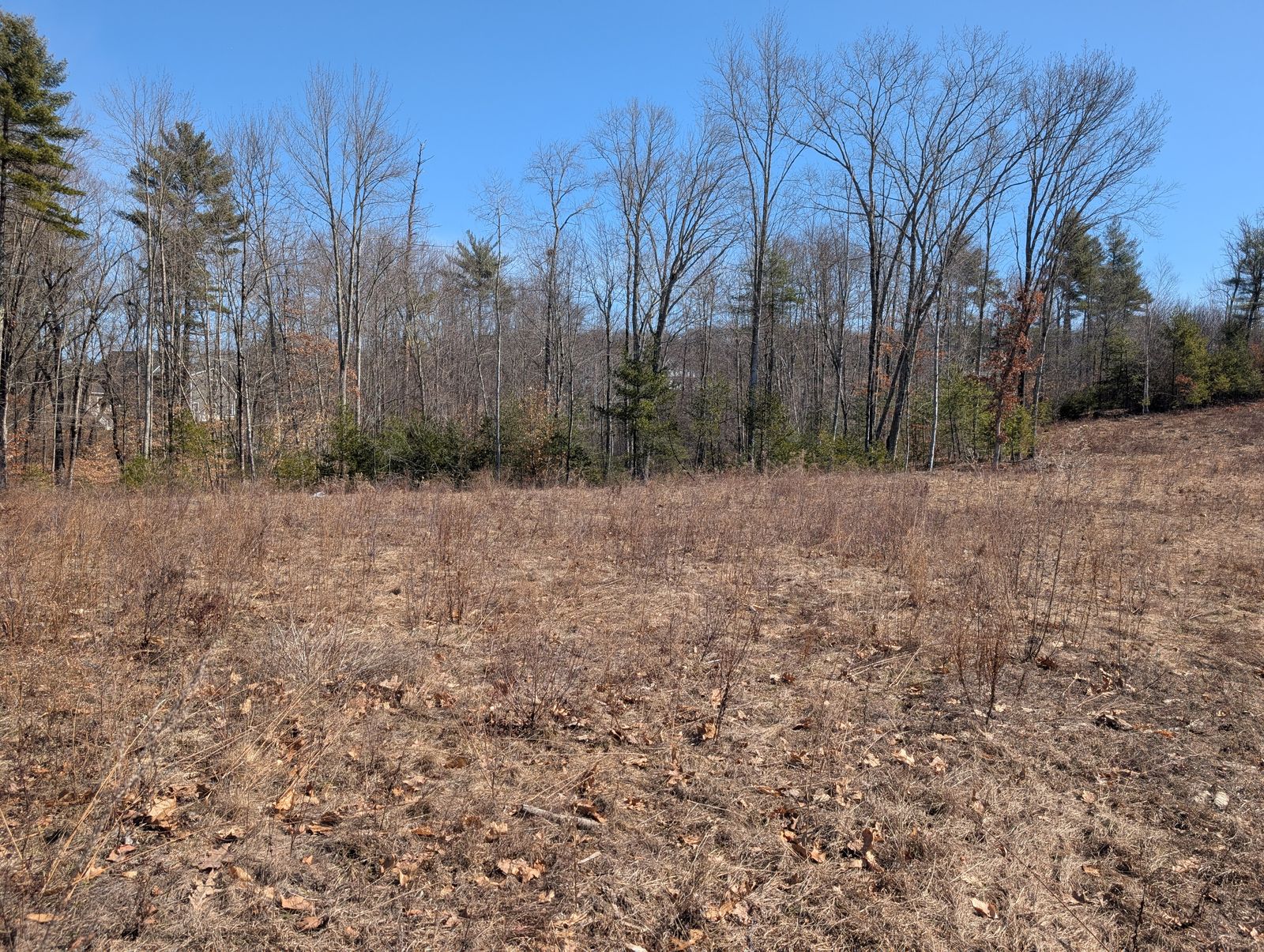 Photo 25 of Lot 233/26/58 and 59