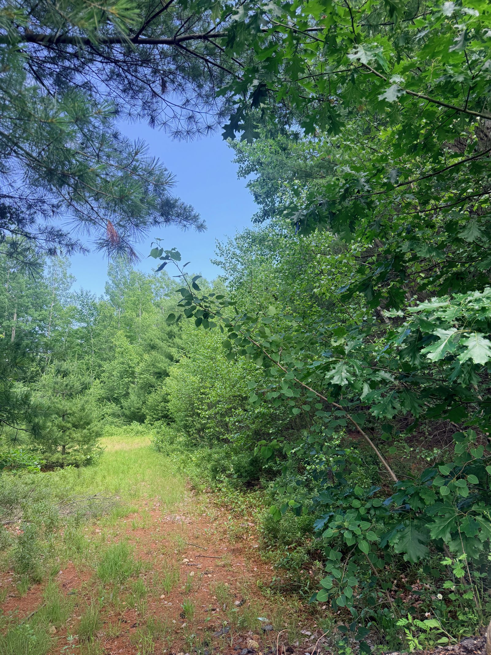 Photo 4 of 36 Old County Rd