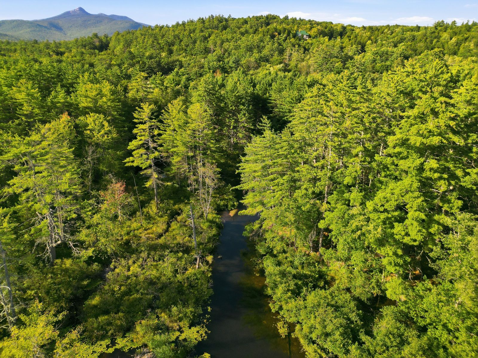Photo 12 of Versatile Commercial / Investment Opportunity on 3.2± Acres Along Chocorua Mountain Highway