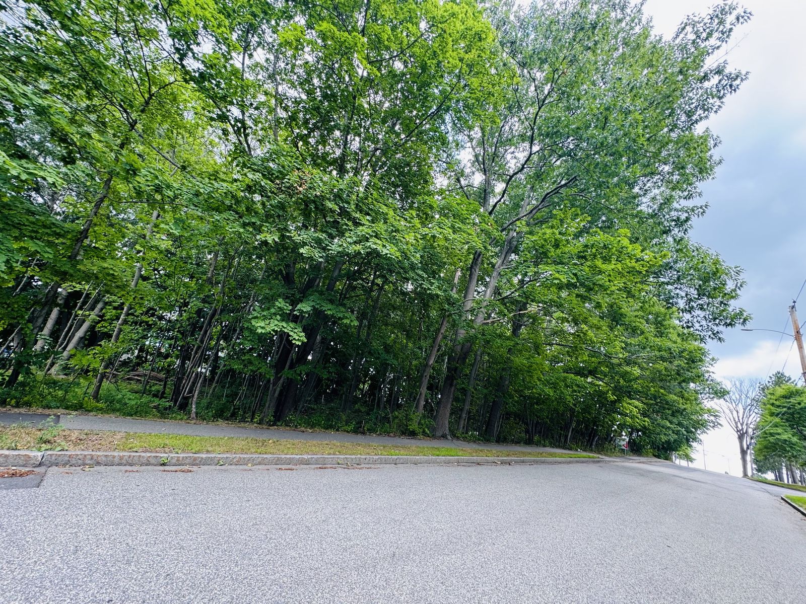 Photo 14 of Small residential development opportunity