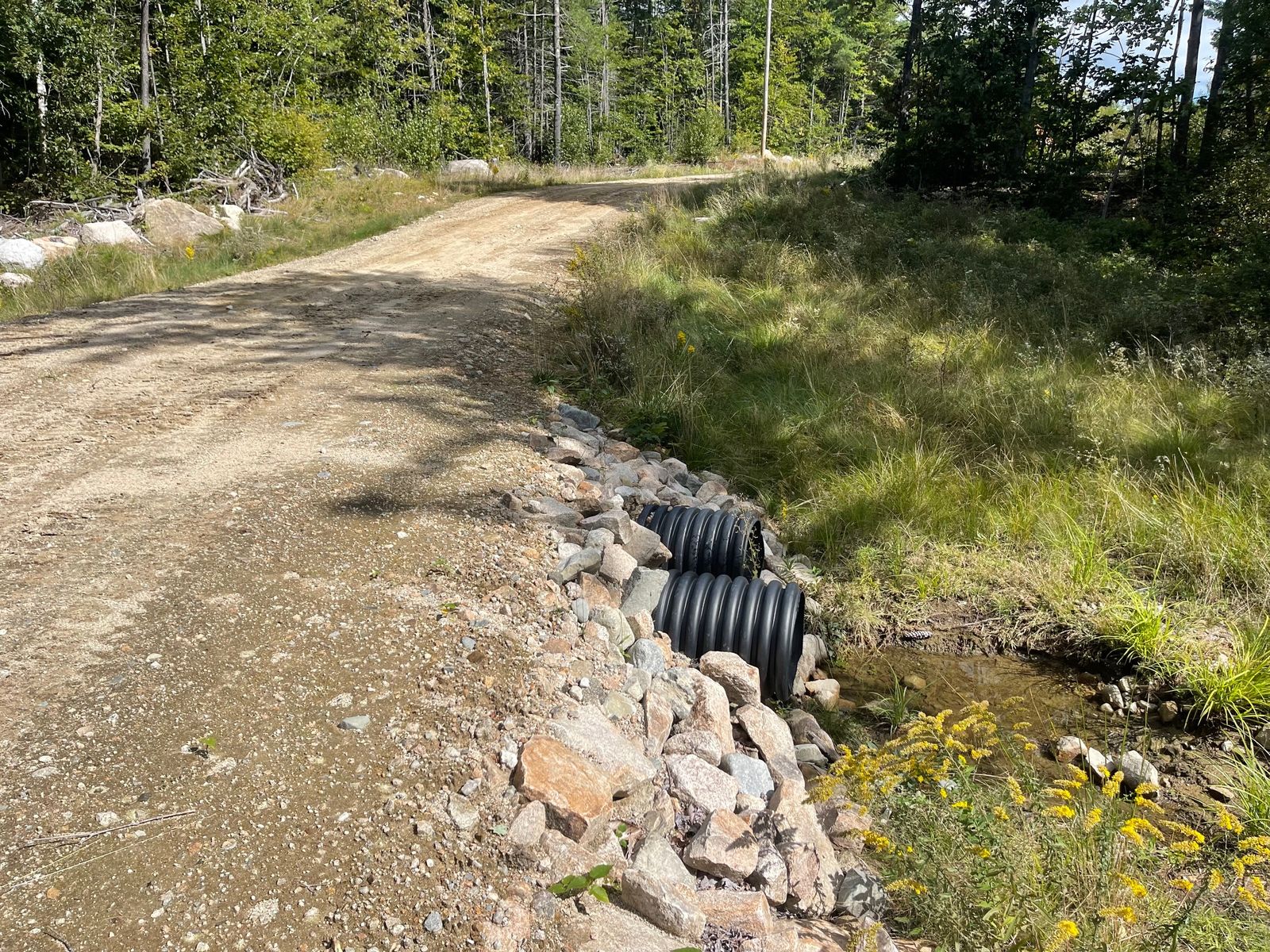 Photo 5 of 37 Alpine Dr