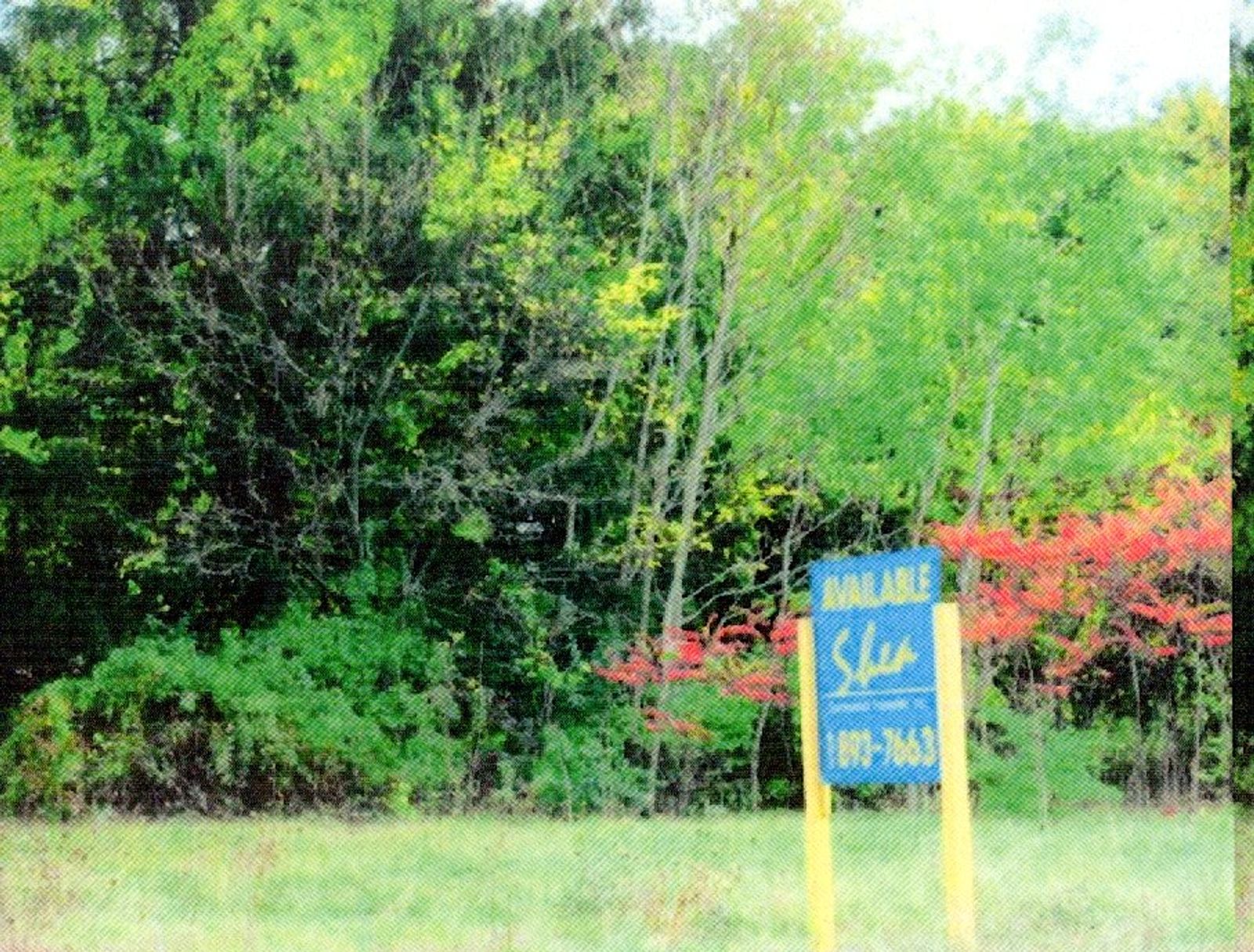 Photo 2 of 357 & 361 Merrimack Street (Route 110)