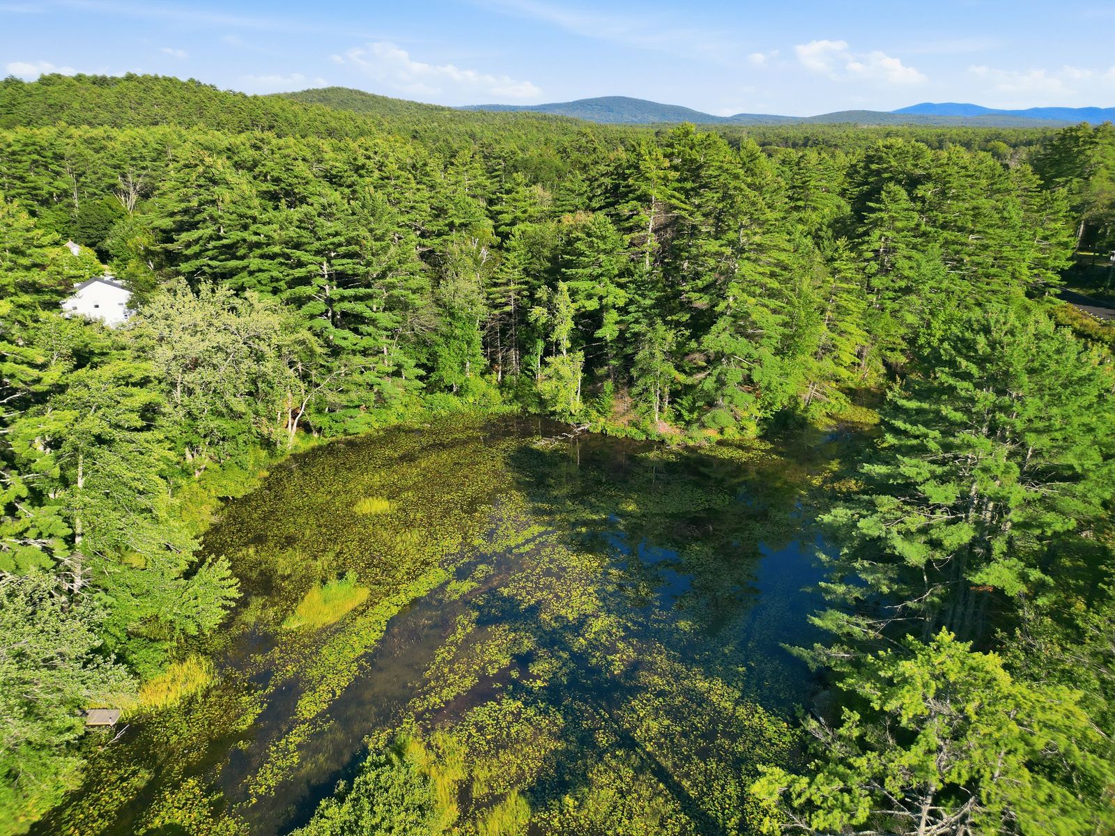 Photo 13 of Versatile Commercial / Investment Opportunity on 3.2± Acres Along Chocorua Mountain Highway