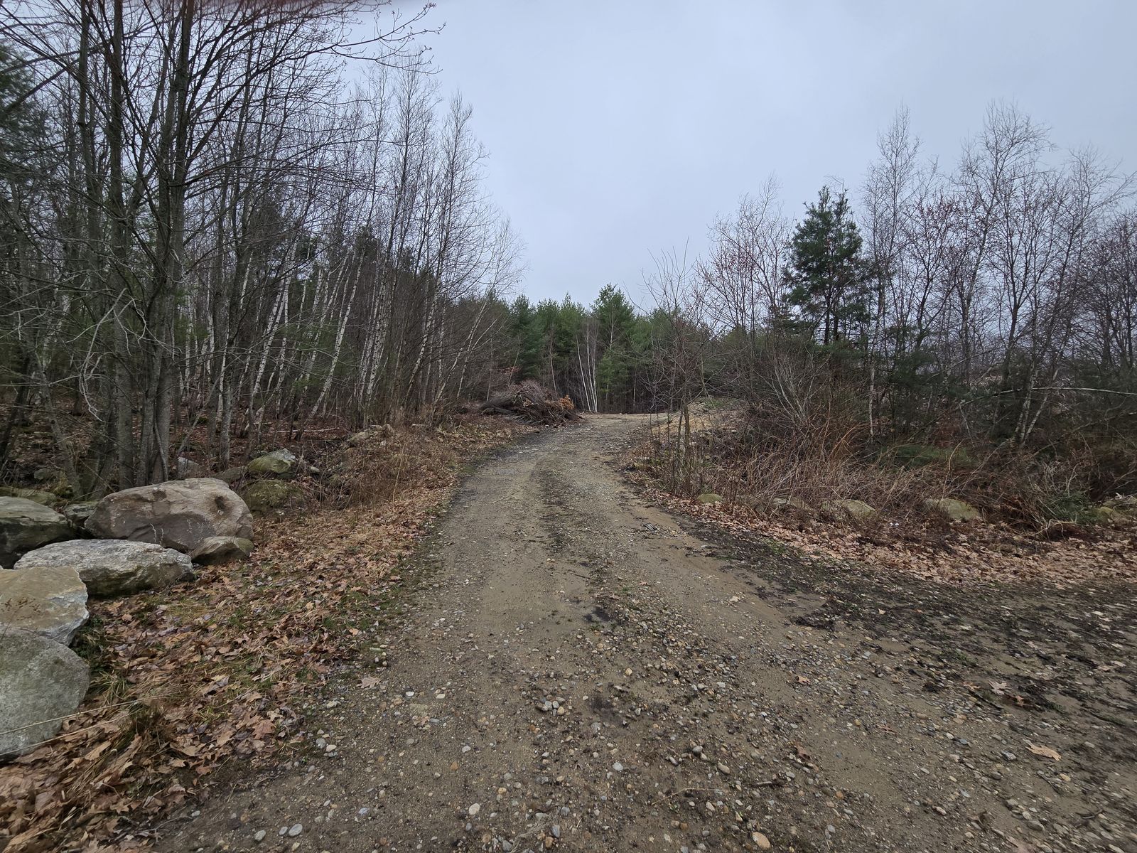 Photo 5 of 192 Londonderry Tpke