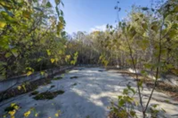 8.82+/- Acre Commercial Site on Busy Monadnock Hwy