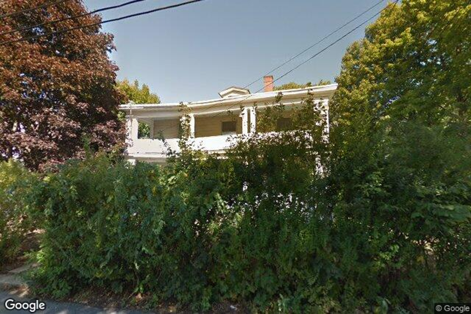 Photo 48 of 31 Drummond St