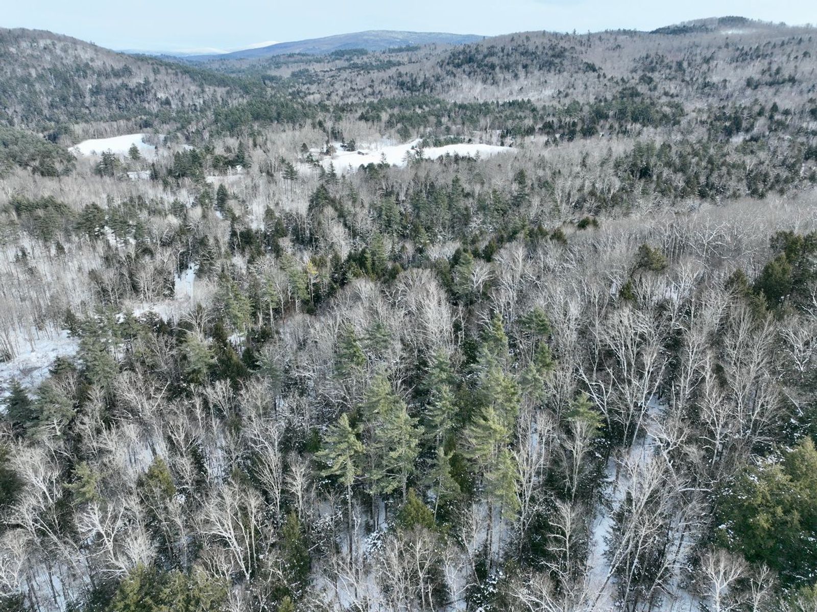 Photo 10 of 144 Grimes Hill Rd