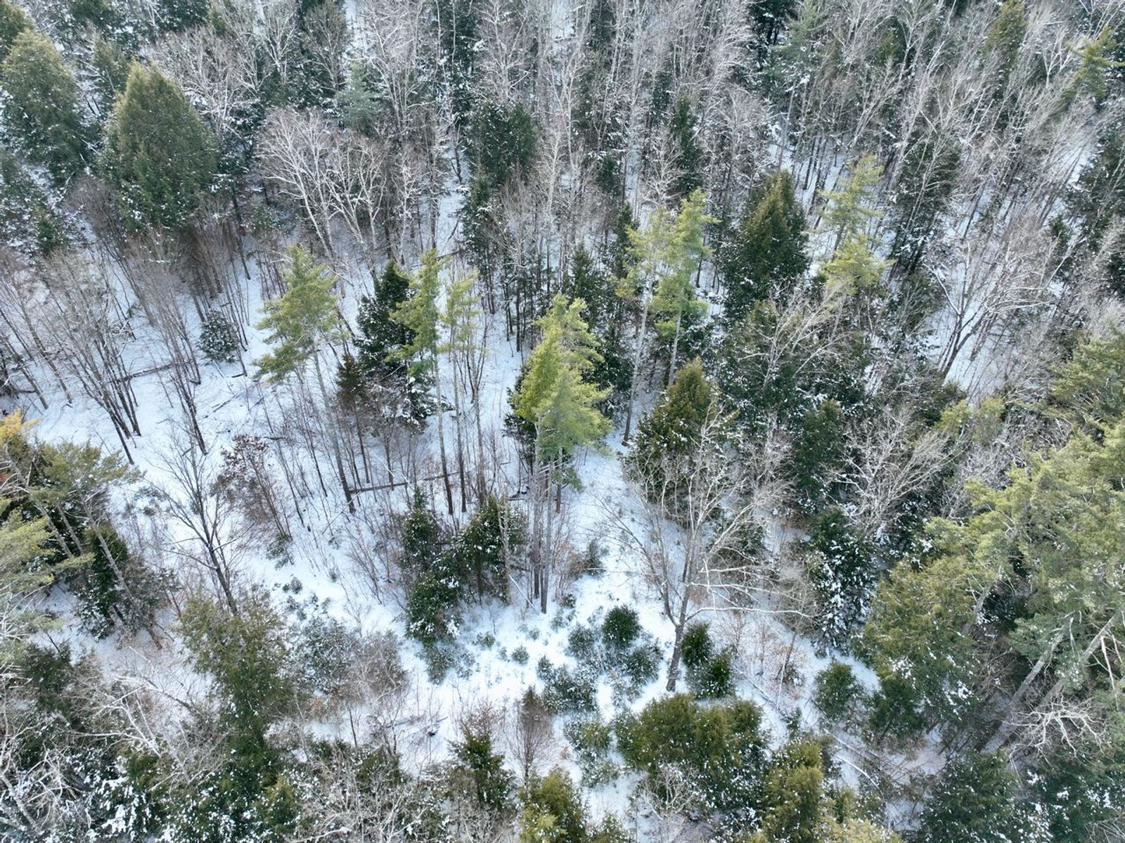 Photo 12 of 144 Grimes Hill Rd