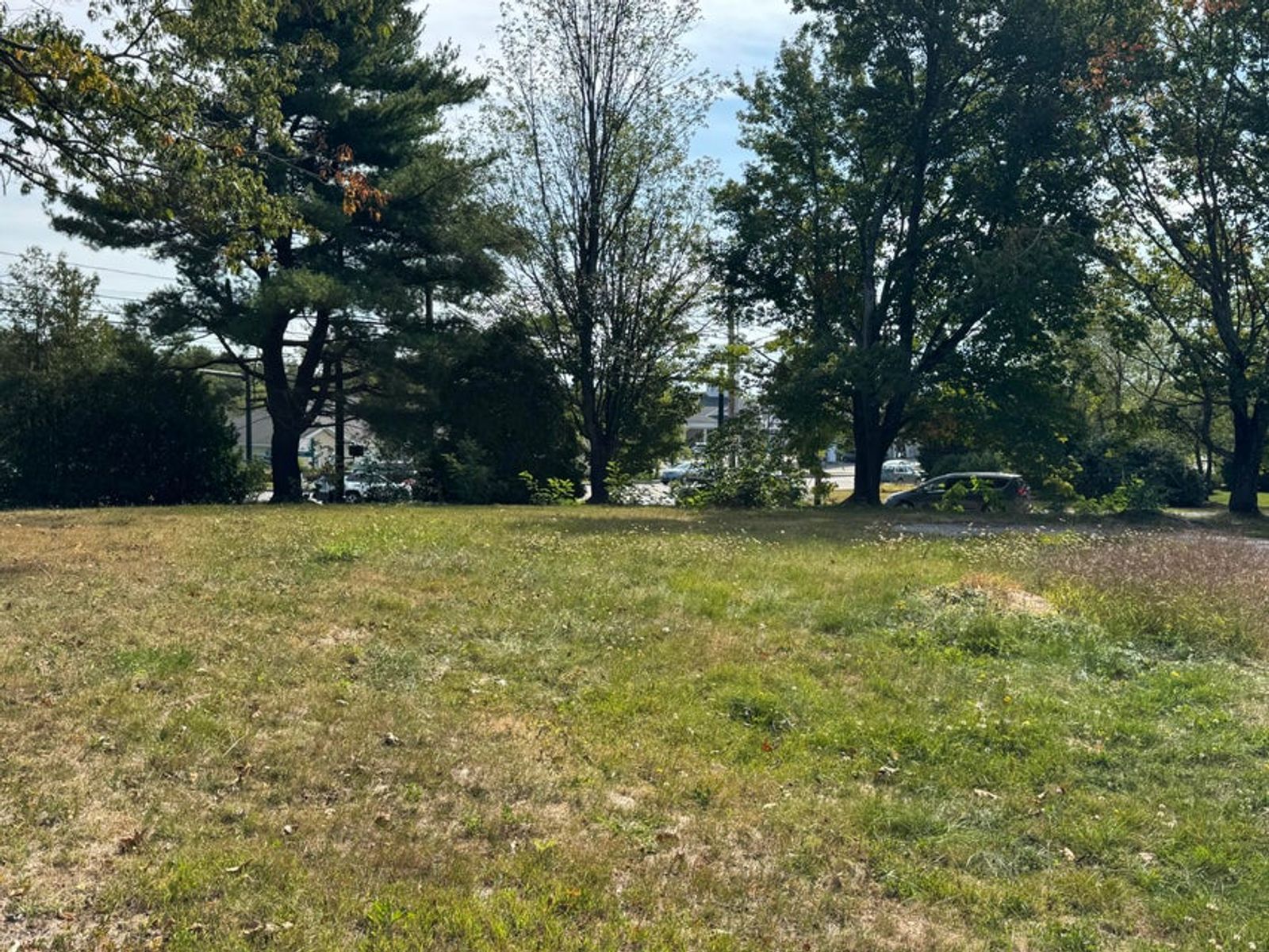 Photo 9 of 59 Leighton Rd